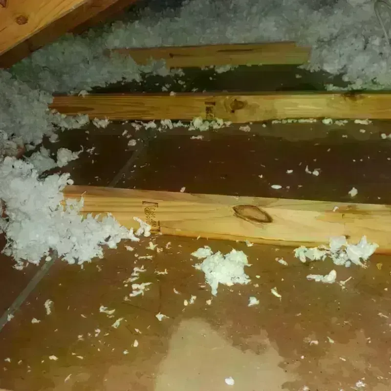 Attic Water Damage in Chickamauga, GA