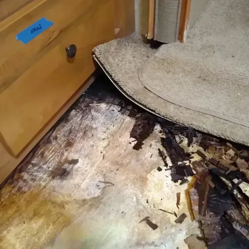 Wood Floor Water Damage in Chickamauga, GA